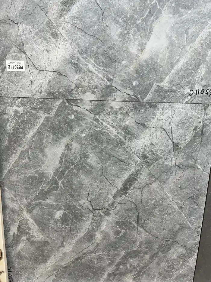P65011C